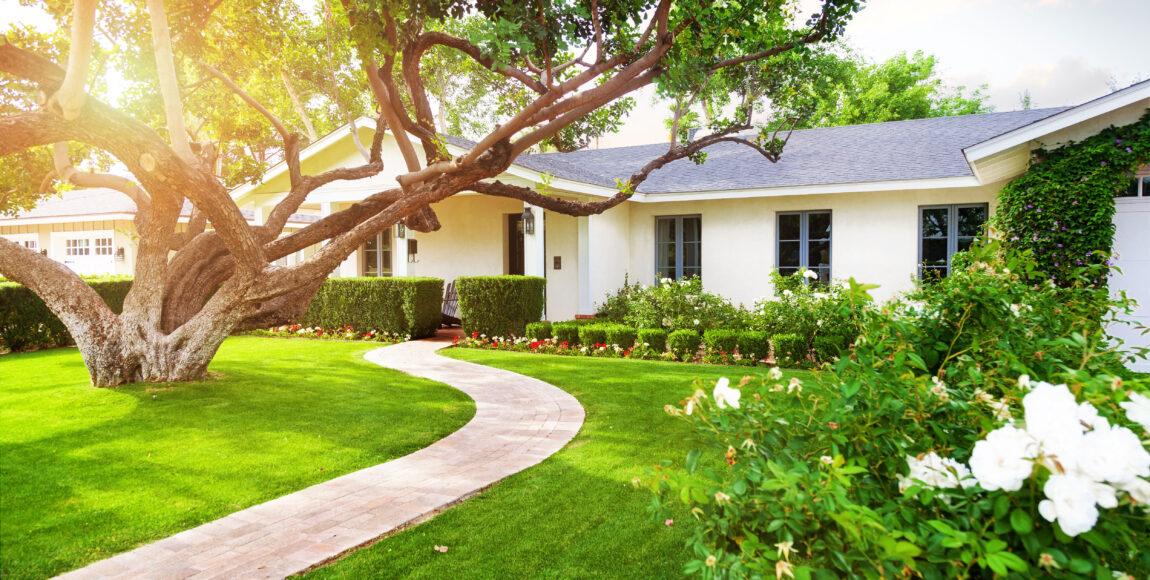 Landscape Maintenance Orlando, FL